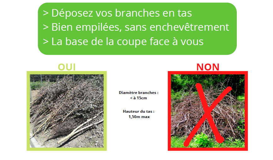 Consiges de dépôt des branches